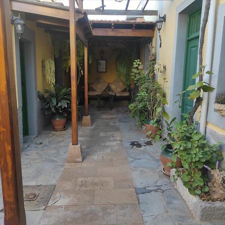 Villa Los Gavilanes サンタクルスデテネリフェ エクステリア 写真