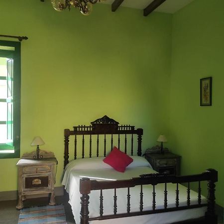 Villa Los Gavilanes サンタクルスデテネリフェ エクステリア 写真